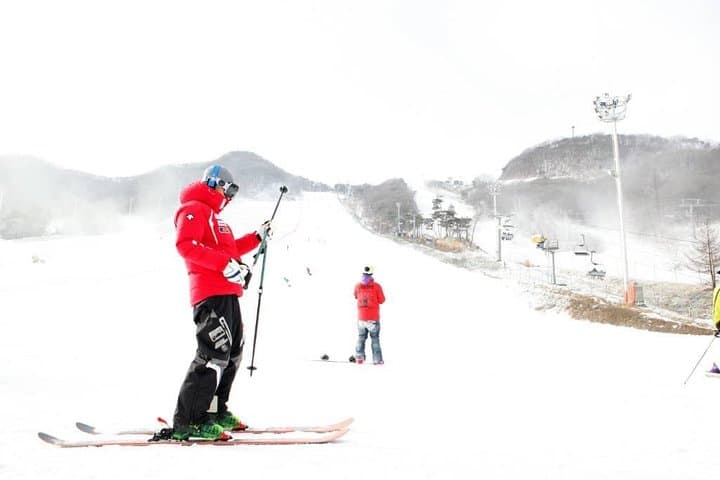 Full-Day Ski Tour to Jisan Ski Resort from Seoul — Lessons, Rentals & Snow Fun