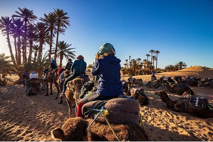 Sunset Camel Ride Along Agadir Beach and Souss River photo 2