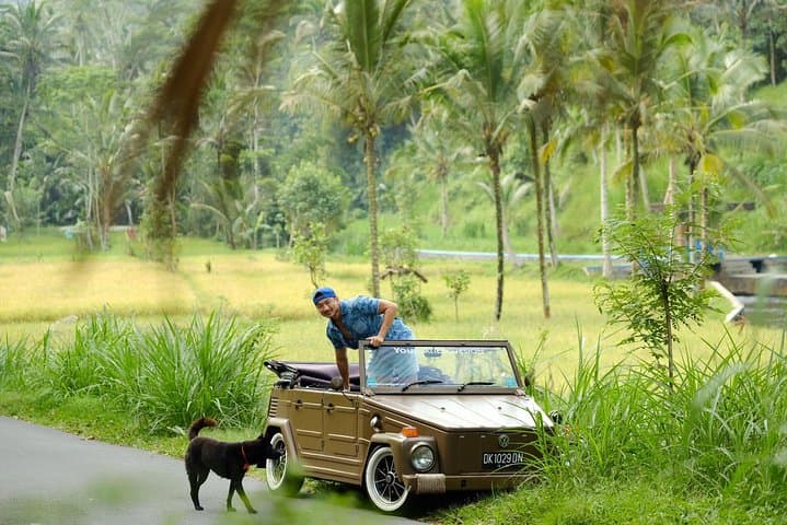 Explore Bali’s Jatiluwih, Beratan & Nungnung Waterfall by Classic Volkswagen 181