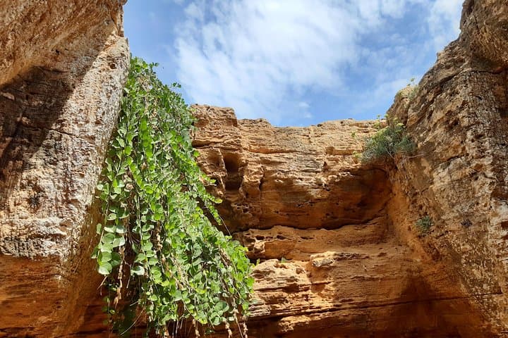 Day Trip to Kerkouane, Kelibia & El Haouaria — Cap Bon Peninsula Highlights