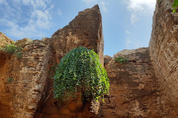 Day Trip to Kerkouane, Kelibia & El Haouaria — Cap Bon Peninsula Highlights photo 5