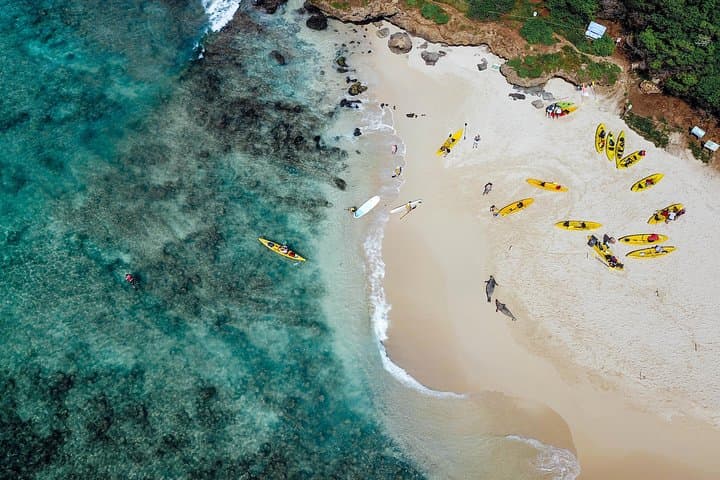 Explore Kailua Bay: Kayak and Snorkel Adventures to Mokulua Islands with Lunch photo 2