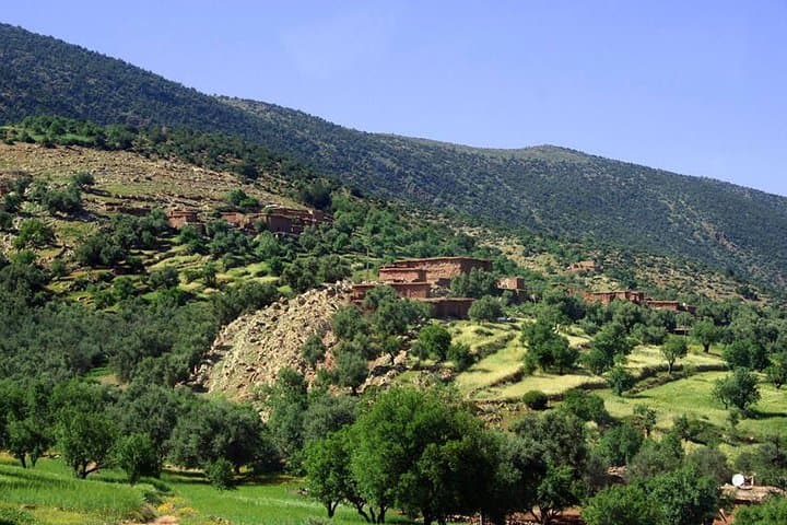 Ouzoud Waterfalls Day Trip from Marrakech — Guide to the 110m Cascades photo 5