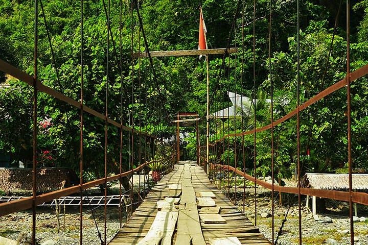 Full-Day Bukit Lawang Jungle Trek: Orangutans, Rivers & Gunung Leuser photo 5