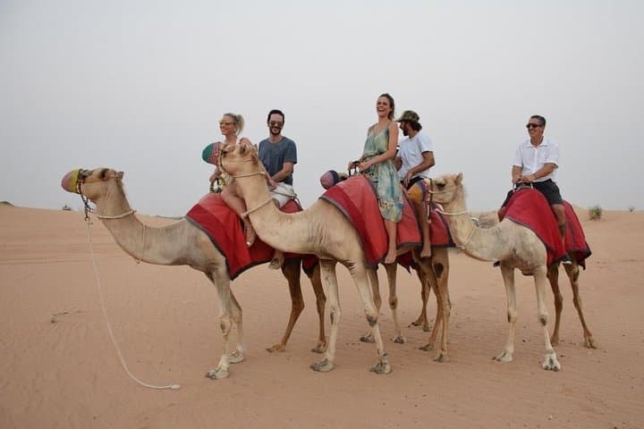 Classic Dubai Desert Safari: Dune Bashing, Camel Rides & BBQ Under the Stars photo 4