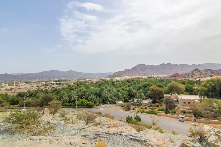 Hatta 4x4 Safari: Fossil Rock, Honeybee Garden & Desert Breakfast from Dubai photo 4