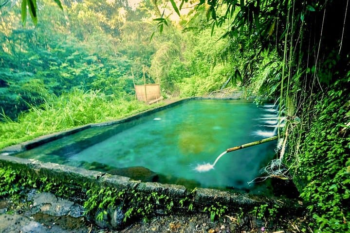 Ubud Countryside Trek: Rice Terraces, Waterfall & Holy Water Temple photo 5
