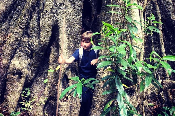 Explore Malawi: Day Tour to Rock Art, Landscapes and Local Culture in Lilongwe