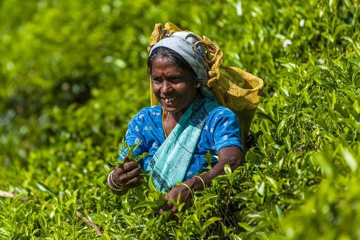 5-Day Bangladesh Tour: Dhaka’s History, Sonargaon & Srimangal Tea Trails photo 1