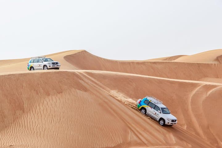 Sunrise Desert Safari & Wildlife Experience in Dubai's Al Qudra photo 3
