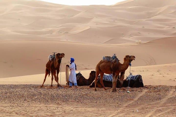 4-Day Marrakech to Merzouga Sahara Tour: Ait Ben Haddou, Todra Gorges & Erg Chebbi
