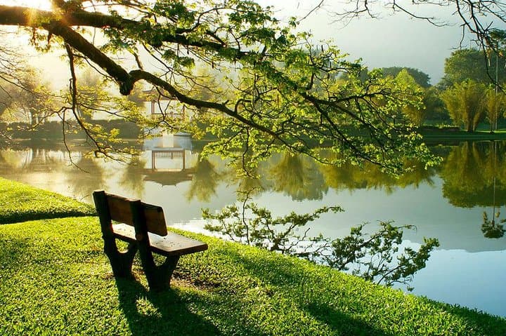 Taiping Day Tour: Cultural, Heritage & Nature Highlights from Kuala Lumpur photo 3
