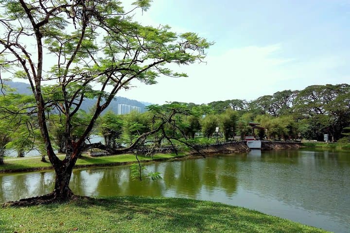 Taiping Day Tour: Cultural, Heritage & Nature Highlights from Kuala Lumpur photo 5