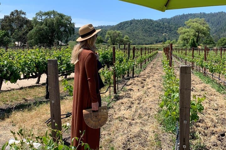 Private Napa Valley SUV Wine Tour for Up to 6 Guests photo 3