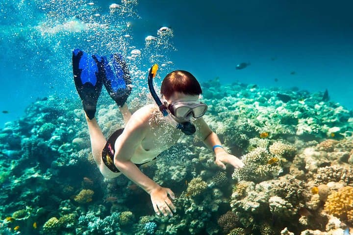 Parasail Over West Bay and Snorkel Roatán's Reefs: A West Bay Combo photo 6