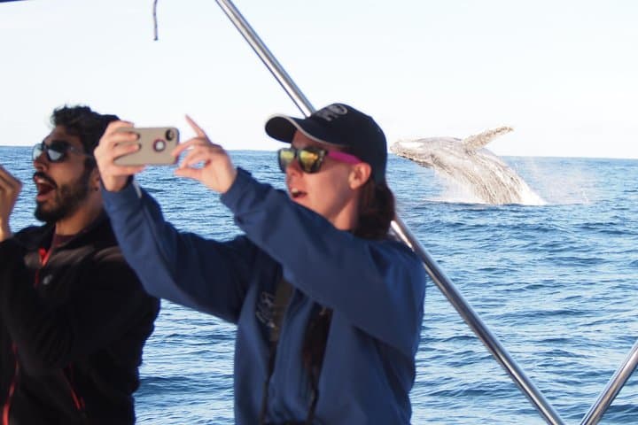 Port Stephens 3-Hour Whale and Dolphin Watch Cruise aboard Imagine photo 3
