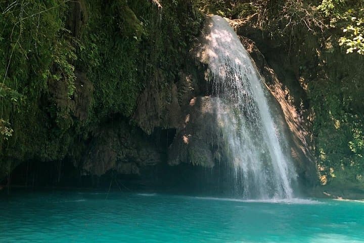 Oslob Whale Shark Swim and Kawasan Falls Day Tour — Swim with Whale Sharks & Canyon Pools photo 6