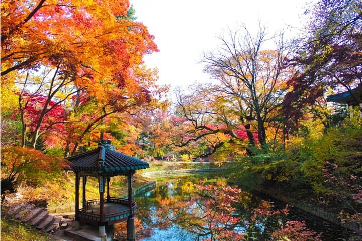 10-Day Autumn Tour: Jeonju, Naejangsan, Seorak, Jeju & Busan (Early November) photo 3