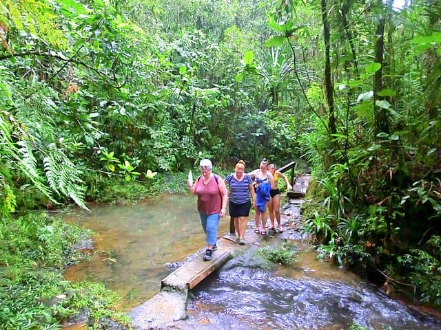 Customize Your Suva Private Tour: Markets, Gardens & Waterfalls photo 3