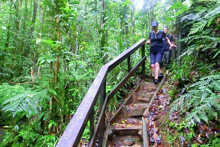 Customize Your Suva Private Tour: Markets, Gardens & Waterfalls photo 5