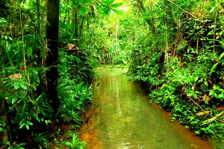 Customize Your Suva Private Tour: Markets, Gardens & Waterfalls photo 6