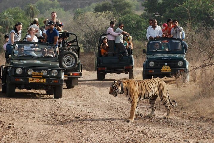 5 Days Golden Triangle Tour with Ranthambore Tiger Safari — Delhi, Agra & Jaipur Itinerary