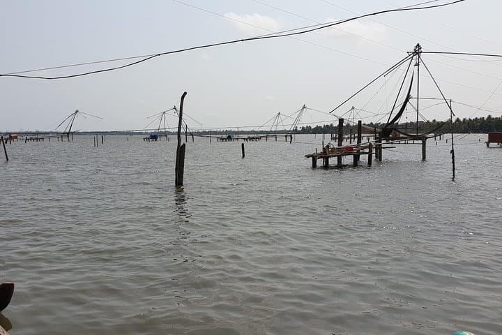 Full-Day Kumbalangi Village Tour: Backwater Life, Fishing & Kerala Lunch