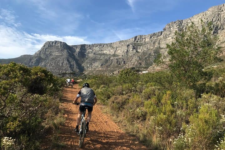 Table Mountain Cycling Experience: Ride the Slopes Above Cape Town photo 3