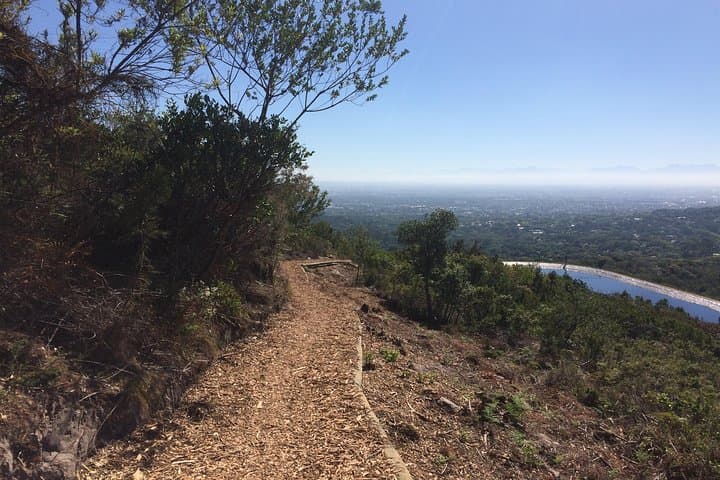 Table Mountain Cycling Experience: Ride the Slopes Above Cape Town photo 4
