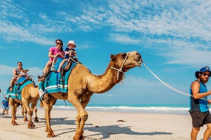 30-Minute Bali Camel Safari on Sawangan White Sand Beach photo 6