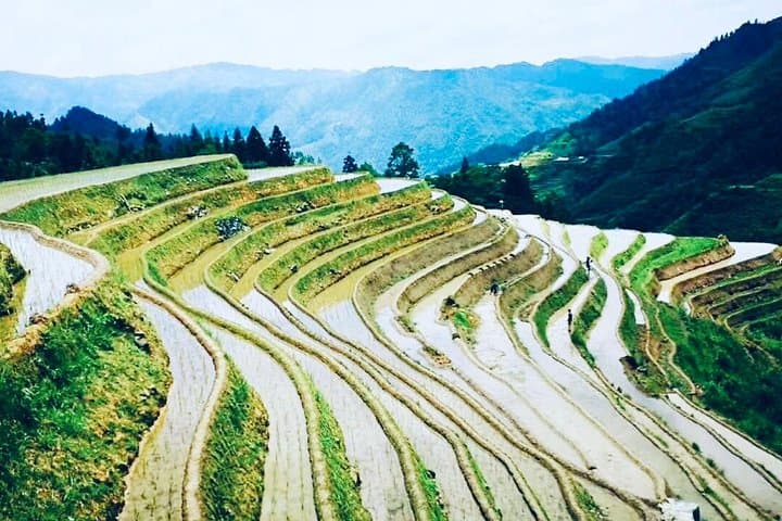 Guilin in 48 Hours: Private Li River Cruise & Longji Rice Terrace Experience photo 3