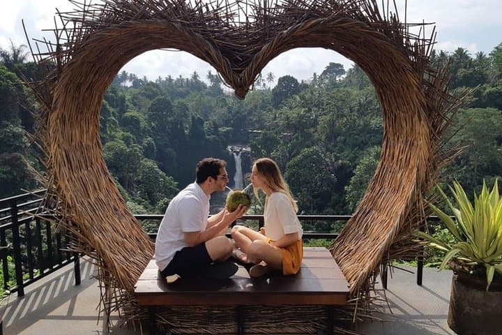 Ubud Jungle Swing & Tegalalang Rice Terrace Full-Day Tour photo 4
