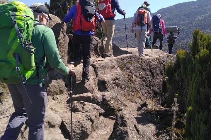 Rongai Route 7-Day Kilimanjaro Trek: Remote North-Side Summit via Nale Moru photo 5