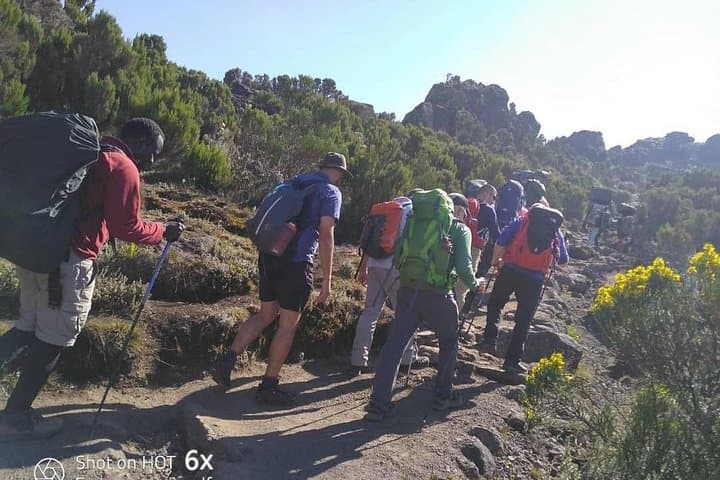 Rongai Route 7-Day Kilimanjaro Trek: Remote North-Side Summit via Nale Moru photo 6