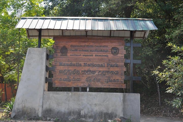 Kaudulla National Park Private Safari: Elephant Encounters & 4x4 Jeep Tour