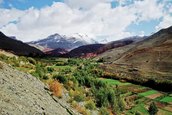 Ourika Valley Day Trip from Marrakech: Setti Fatma Waterfalls & Berber Villages photo 4