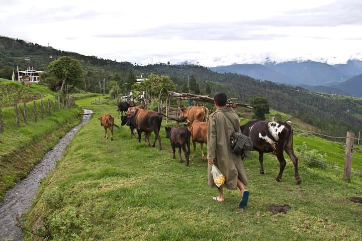 6-Day Cultural and Nature Circuit Through Western Bhutan photo 5