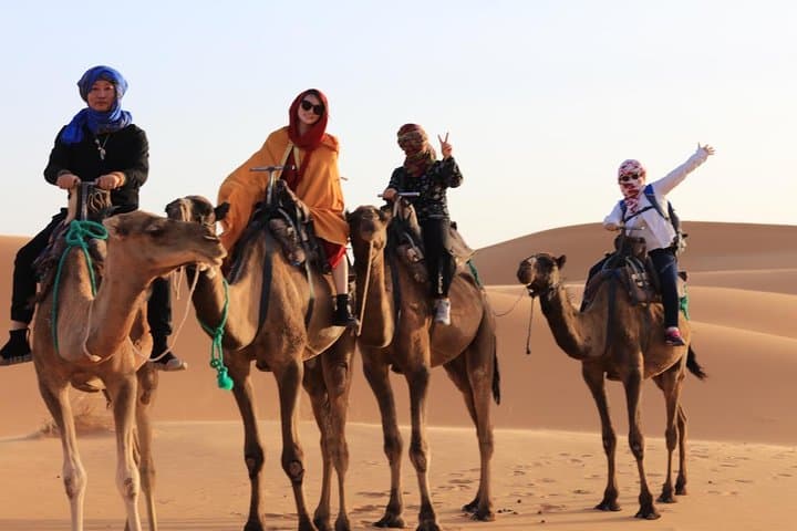 Erg Chegaga Luxury Desert Camp Overnight from M'Hamid photo 3