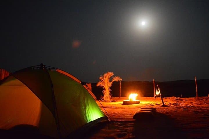 Overnight Desert Safari Abu Dhabi: Dune Drives, BBQ & Stargazing photo 2