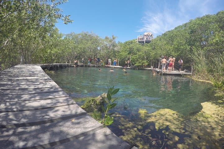 Day Trip to Isla Holbox from Playa del Carmen — Boat Tour, Beaches & Wildlife photo 2