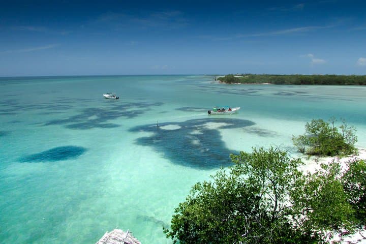 Day Trip to Isla Holbox from Playa del Carmen — Boat Tour, Beaches & Wildlife photo 6