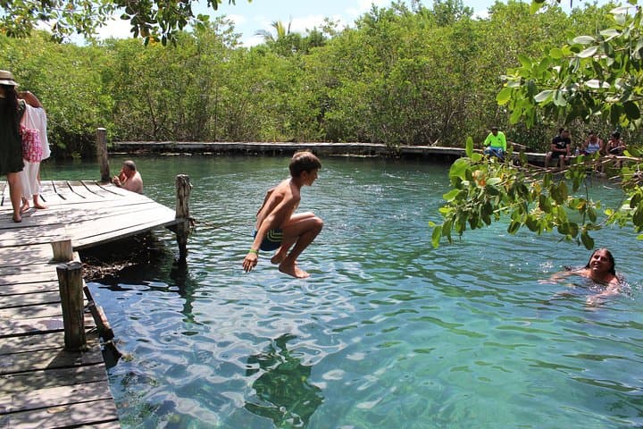 Day Trip to Isla Holbox from Playa del Carmen — Boat Tour, Beaches & Wildlife photo 4
