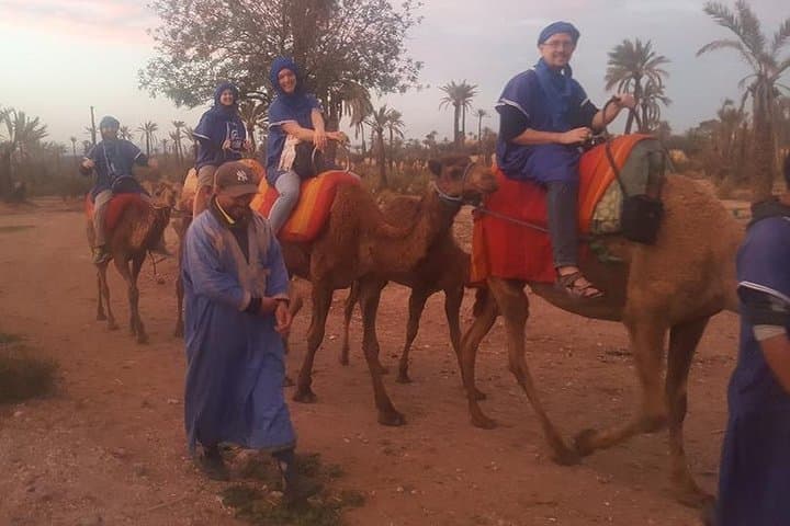 Marrakech Palmeraie Camel Ride: 1-Hour Palm-Grove Camel Safari photo 5