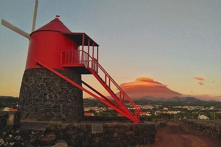 Pico Vineyard Sunset Walk and Regional Dinner: UNESCO Vineyard Tour