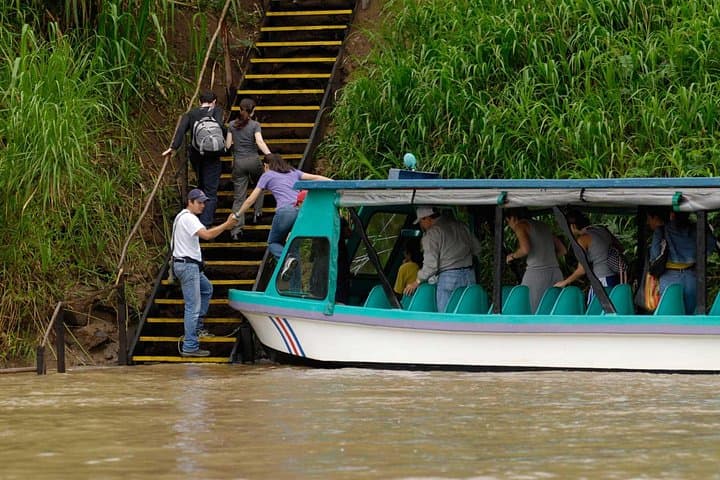 Sarapiqui River Safari from San José — Wildlife Cruise & Rainforest Lunch photo 3