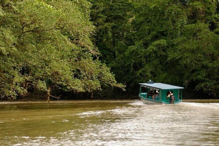 Sarapiqui River Safari from San José — Wildlife Cruise & Rainforest Lunch photo 1