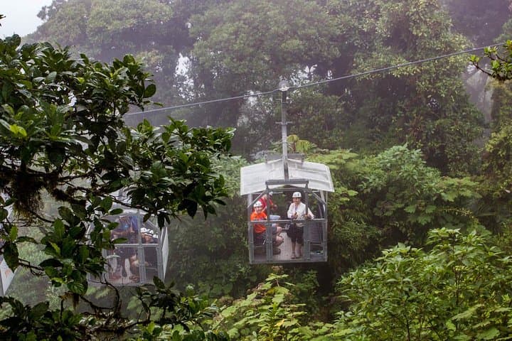 Sky Tram and Sky Trek Monteverde Cloud Forest Zipline Adventure
