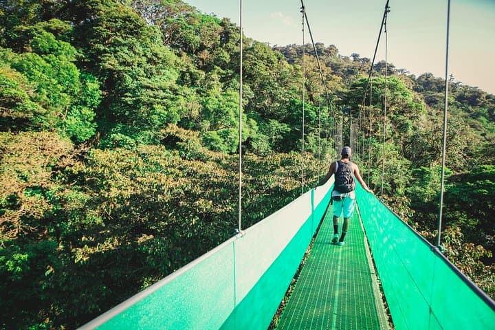 Sky Walk Monteverde: Hanging Bridges & Cloud Forest Walk