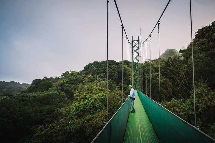 Sky Walk Monteverde: Hanging Bridges & Cloud Forest Walk photo 4