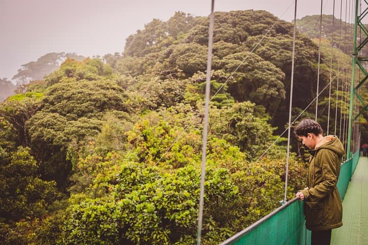 Sky Walk Monteverde: Hanging Bridges & Cloud Forest Walk photo 5